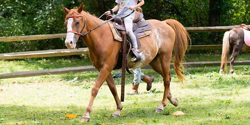 Winter Break Equine Day Camp
