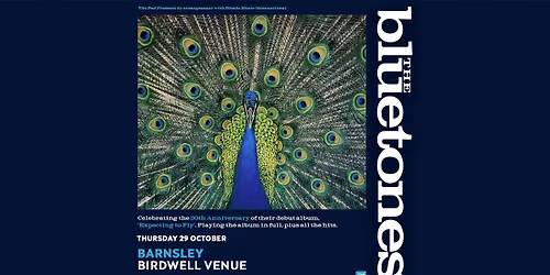 The Bluetones | Birdwell, Barnsley - Expecting To Fly 30th Anniversary Tour