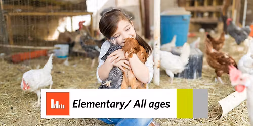 Farmyard Friends