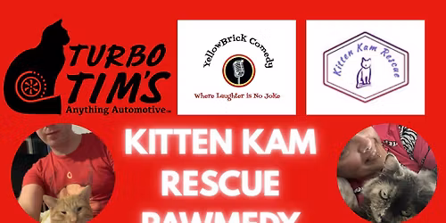 Kitten Kam Rescue Pawmedy Show