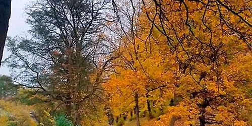 Rundt p\u00e5 Volden