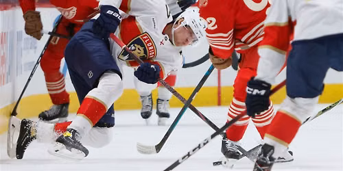 Florida Panthers vs. Detroit Red Wings