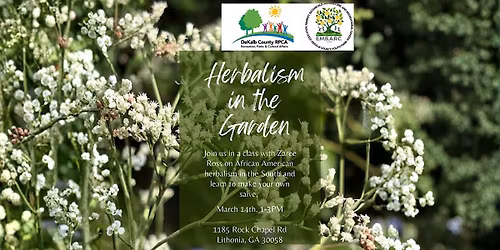Herbalism in the Garden with Zaree Ross