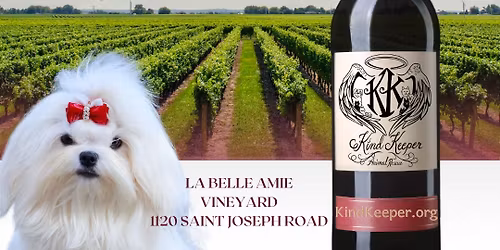 Puppies at La Belle Amie Winery