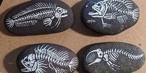 Creation Station - Fossil Rocks