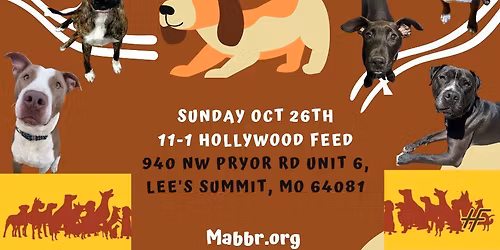 Hollywood Feed Adoption Event
