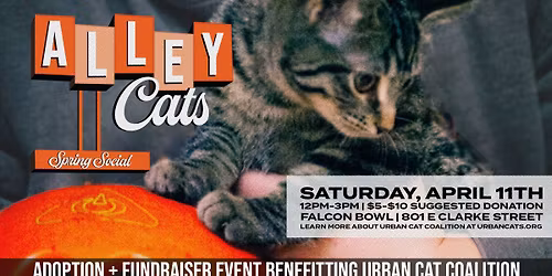 Alley Cats II: Spring Social - An Adoption & Fundraiser Event @ Falcon Bowl