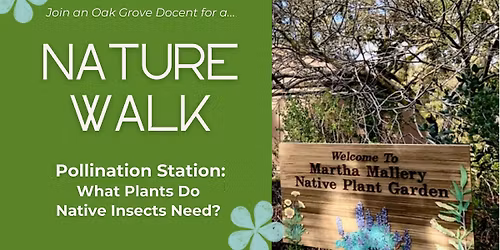 Pollination Station: What Plants Do Native Insects Need?