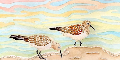 Watercolor Sandpipers