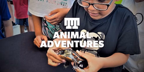 Animal Adventures