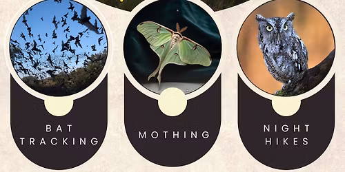 Night on the Prairie