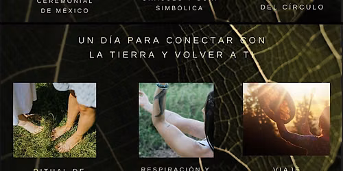 Volver a la ra\u00edz |C\u00edrculo de mujeres