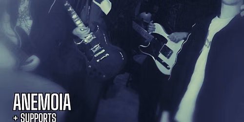 Anemoia, support