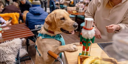 LABRADOR CAFE - DURHAM