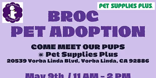 BROC at Pet Supplies Plus Yorba Linda