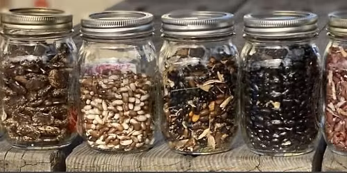 Unlocking the Mysteries of Seed Catalogs and Seed Packets