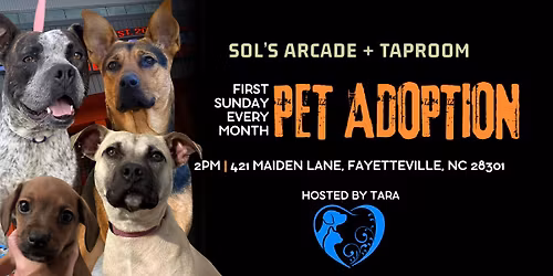 TARA Pet Adoption @ Sol's Arcade + Taproom