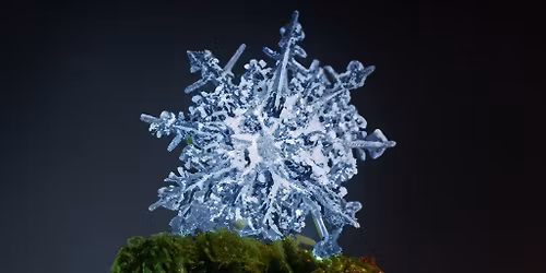 Ivy Collective x XLR presents: Phill De Janeiro