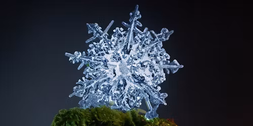 Ivy Collective x XLR presents: Phill De Janeiro