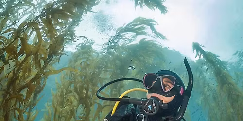 2 Day California Boat Trip