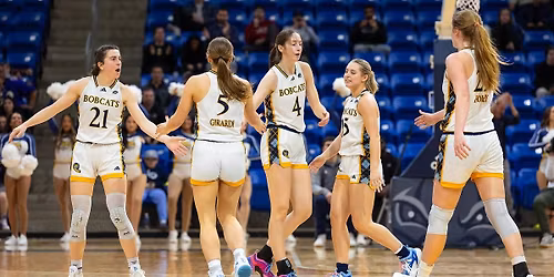 Colgate Raiders at Quinnipiac Bobcats Womens Basketball