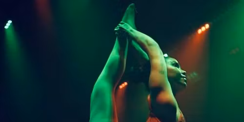 Birds of Paradise by Nocturna