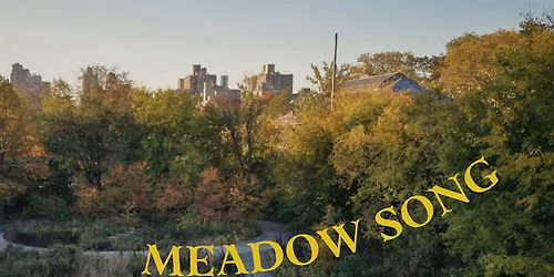 MEADOW SONG: An open-air performance of myth & music, from Irish folklore