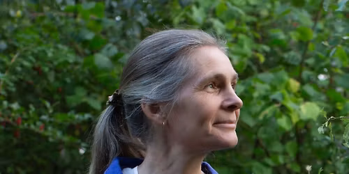 Tales Tattled & Told