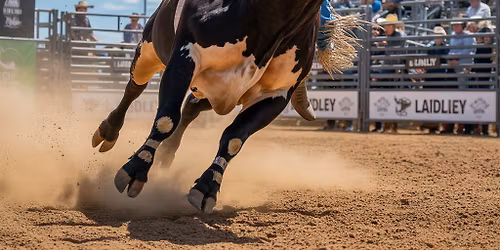 2025 ELITE BULLRIDERS AUSTRALIA FINALS LAIDLEY