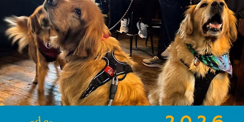 Golden Greet at Pets4Life in Highland Park