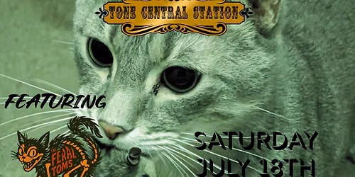 Mid Day Music - The Feral Toms