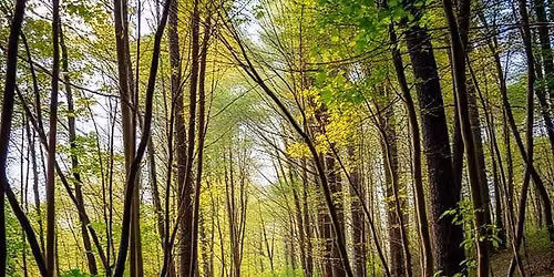 Healing Trails Grief Walk