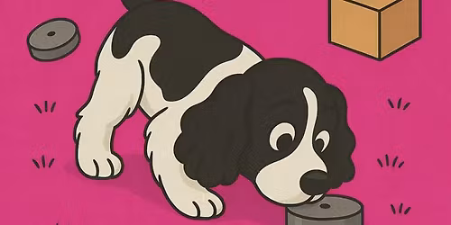 Veien videre i nosework