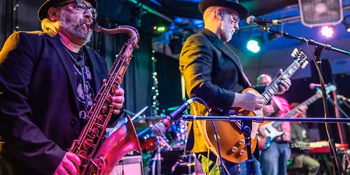 The Bon Ton Rulers Performing Live at Beach Hut Deli
