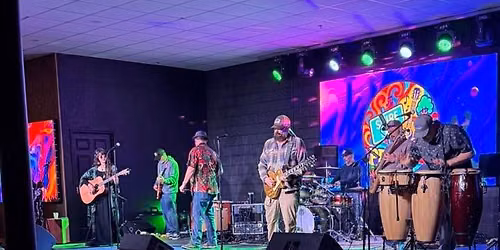 Shire Lane Project - Live at Tail Whip!
