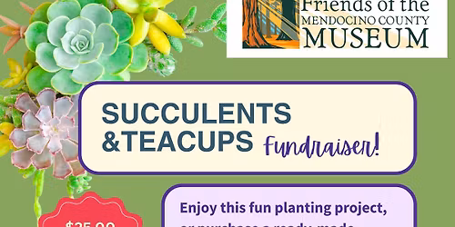 Succulent Teacup Making