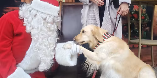 Pet Photos with Santa 