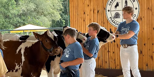 Youth Dairy Show