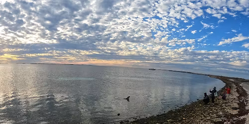 Abrolhos Islands 2026 4 day 4 nights - Public holiday trip 6 spots