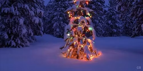 The Johnsons Acoustic Holiday Nite with John McLaren