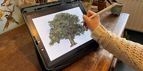 Four Seasons Of Haigh: Digital Art Workshop with Joseph Doubtfire