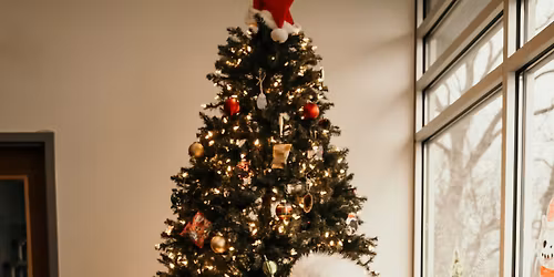 Pet Pictures with Santa at the Shelter 
