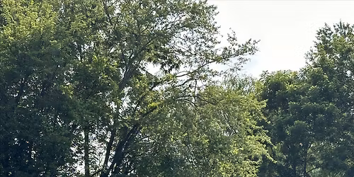 Interacting with Nature: River Study, Session 1