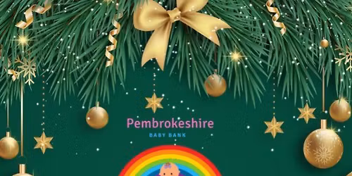 Pembrokeshire Baby Bank Christmas Fete