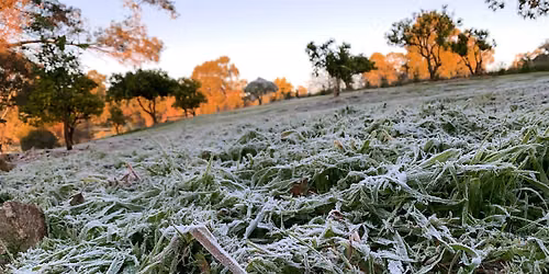 Designing Your Hills Property: The Basics