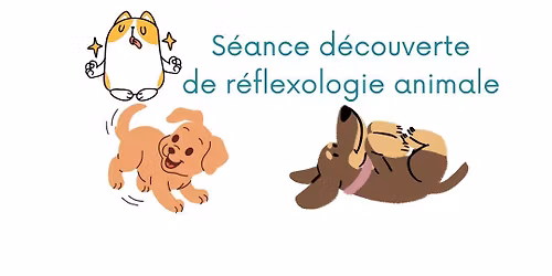 S\u00e9ance d\u00e9couverte de r\u00e9flexologie animale