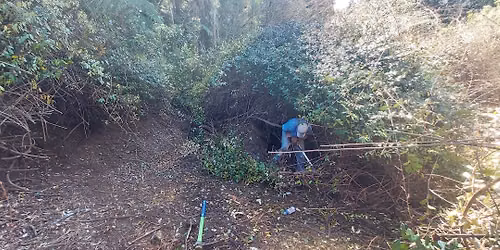 Friends of Taihinui Historical Reserve