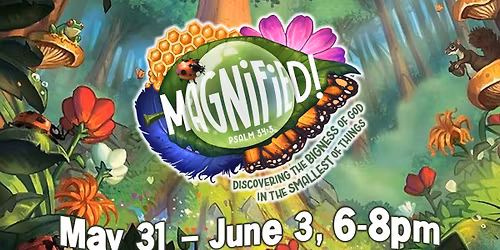 Magnified! VBS