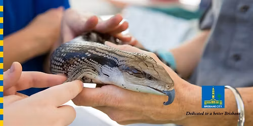 Meet Wildlife Neighbours