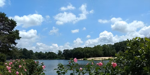 Shoreline Trail Walk